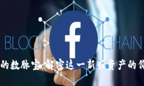 区块链中的数脉宝：解密这一新兴资产的价值与应用