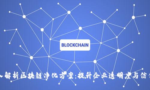 深入解析区块链净化方案：提升企业透明度与信任度