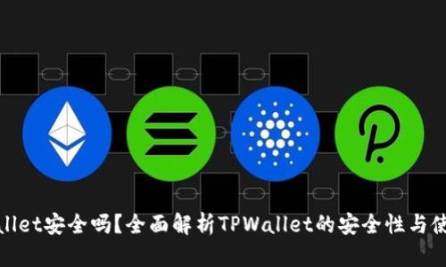 : TPWallet安全吗？全面解析TPWallet的安全性与使用风险