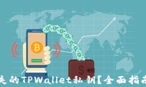
如何找回丢失的TPWallet私钥？全面指南和注意事项