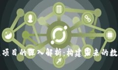 常规区块链项目的深入解析：构建未来的数字经