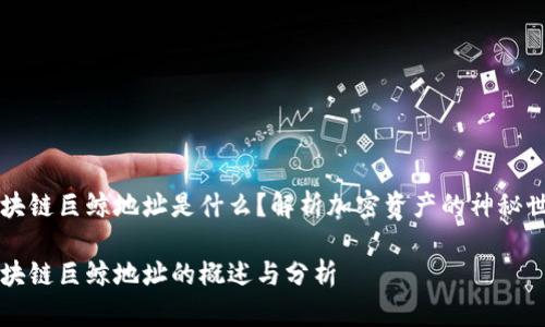 区块链巨鲸地址是什么？解析加密资产的神秘世界

区块链巨鲸地址的概述与分析
