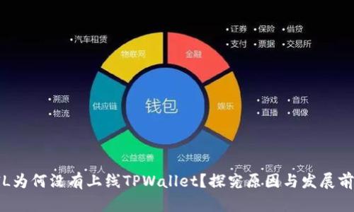 FIL为何没有上线TPWallet？探究原因与发展前景