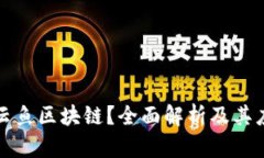 什么是云鱼区块链？全面解析及其应用前景