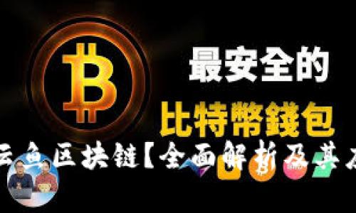 什么是云鱼区块链？全面解析及其应用前景