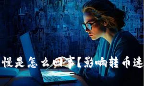 tpwallet转币慢是怎么回事？影响转币速度的因素分析